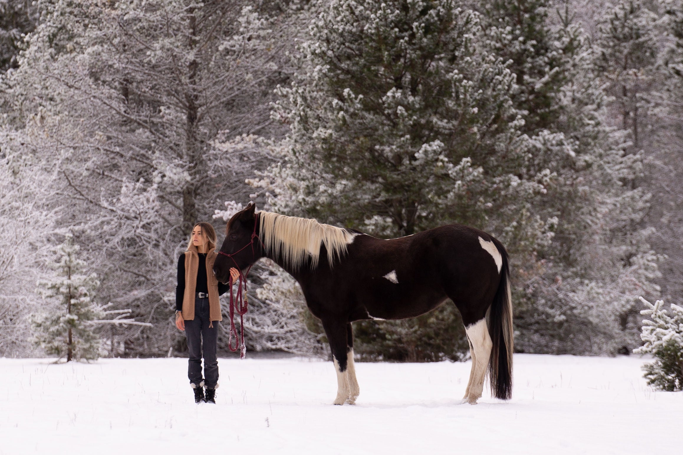 Anna Lengstrand – The Magic life of British Columbia.